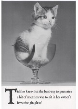Tiddles Knew That The Best Way